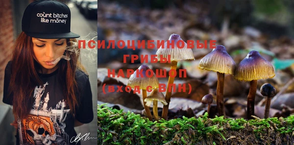 шишки Алексин