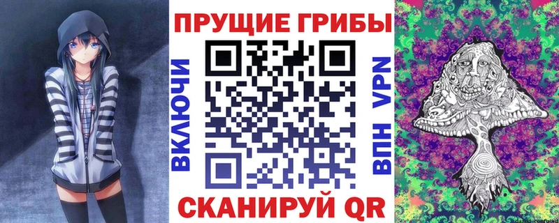 кракен tor  Хвалынск  Псилоцибиновые грибы Psilocybe 